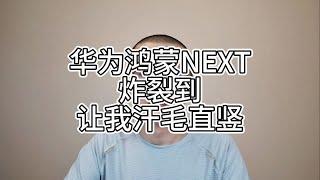 华为鸿蒙NEXT炸裂到让我汗毛直竖