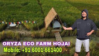 Camping at ORYZA ECO FARM Hojai, Gauranagar