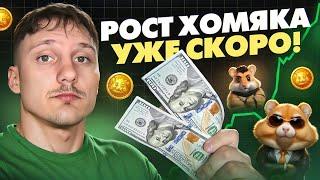 Hamster Kombat - Когда ждать рост хомяка? Не продавай свои монеты $HMSTR до 2 сезона!