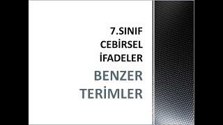 7.SINIF BENZER TERİMLER Turgay Hoca Matematik SINAV UZMANI ile ANAHTAR ÇÖZÜMLER