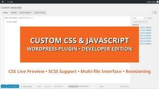 Custom CSS & Javascript Developer Edition WordPress Plugin