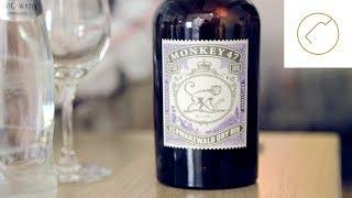 Welches Tonic zu Monkey 47 Gin? | Delicious Berlin