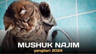 MUSHUK NAJIM YANGILARI 2024