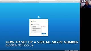 How to set up a virtual skype number