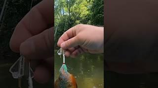 Ultralight Buzzbait