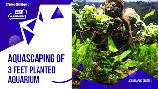 Planted Aquarium | Aquascaping Design Ideas Part-1 | Proud Hobbyist