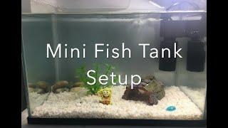 Mini Fish tank Setup