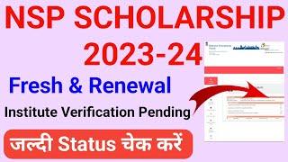 nsp scholarship status kaise dekhe/nsp scholarship status kaise check kare 2023-24/nsp status check