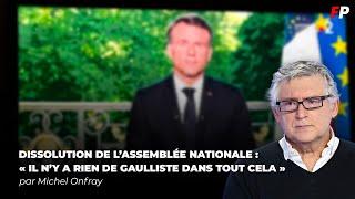 Dissolution de l'Assemblée nationale : la réaction de Michel Onfray