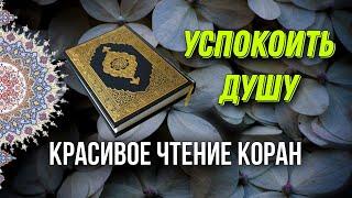 УСПОКОИТЬ ДУШУ! СЛУШАЙТЕ ЧТЕНИЕ КОРАН!