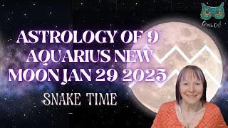 Astrology of 9˚ Aquarius New Moon Jan 29 2025 | SNAKE TIME