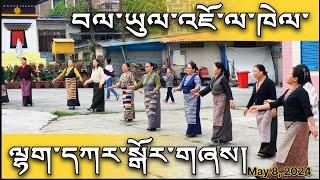 Kathmandu Lhakar Gorshey / བལ་ཡུལ་ལྷག་དཀར་སྒོར་གཞས། | Jawalakhel Samdupling KTM Nepal May 8, 2024