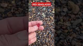 Red SEAGLASS find!! #beach #seaglassfinds #seaglass #seaglasshunter #berwickupontweed