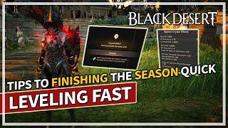 How to Level Fast & Finish Seasons Quickly 2023 | Black Desert