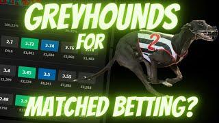 Matched Betting  GREYHOUNDS    The dangers  Greyhound betting strategy
