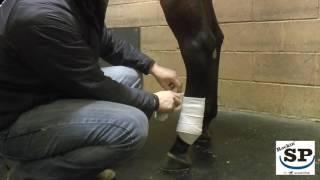 How to Wrap a Horses Hind Leg