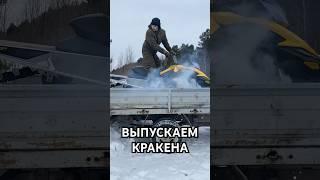 Снегоход BRP SKI DOO SUMMIT 800 #снегоход #brp #skidoo