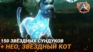 ArcheAge. 150 звёздных ларцов + обзор звёздного кота