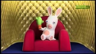 The Rabbids Movie