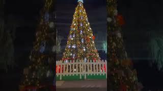 Christmas in Heraklion Crete #Crete #2024 #fy #fyp #Greece