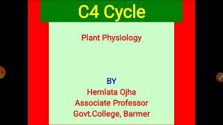 C4 Cycle || Hatch and slack pathway