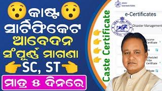 How to Apply Caste Certificate In Odisha | SC Caste Certificate Apply Online | SC ST OBC Certificate