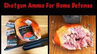 Shotgun Ammo For Home Defense