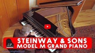 Steinway & Sons Model M Grand Piano for Sale - Living Pianos Collection