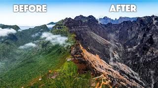 Madeira Island after the Devastating Wildfires