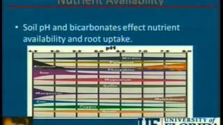 Understanding the Potential Problems with High Bicarbonates in Irrigation Water