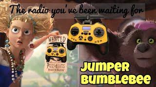 Jumper Bumblebee // The Review You've Been Waiting For