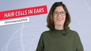 Psychoacoustics: Hair Cells in Ears are Analog-to-Digital Converters | Susan Rogers | Berklee Online