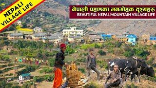 Very beautiful Nepal village life into Deep Jungle || Close to Nature || IamSuman