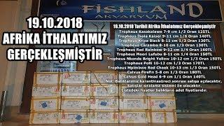 19.10.2018 TARİHLİ 2.AFRİKA İTHALATIMIZ GERÇEKLEŞMİŞTİR