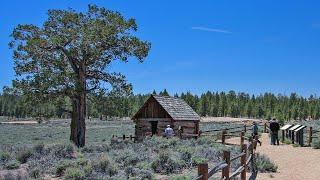 Holcomb Valley near Big Bear