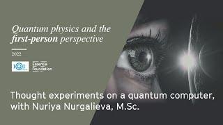 Thought experiments on a quantum computer, with Nuriya Nurgalieva