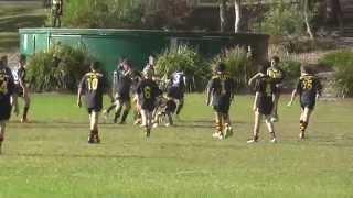 Ali Stokes Vs Kogarah Cougars