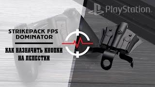 PS4 STRIKEPACK FPS DOMINATOR - Как назначать кнопки на лепестки