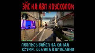 XZYMPL эйс с awp на стриме кс го