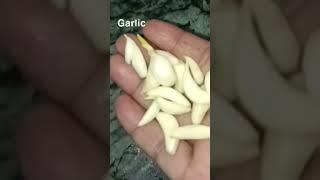 Instant haari mirchi ka acchar with KHUSHNUMA KITCHEN please like subscribe and comment ️️