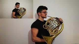 Elvis Presley - Can't Help Falling in Love ( French Horn Cover )