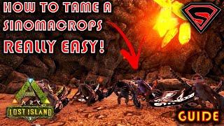 ARK LOST ISLAND HOW TO TAME A SINOMACROPS (BEST WAY TO TAME A SINOMACROPS)