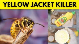 Buzz Off! Get Rid of Yellow Jackets in Your Home and Keep Them Away for Good