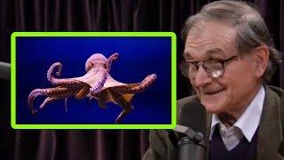 Sir Roger Penrose: Are Animals Conscious Like We Are?