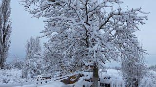 Снег на кубани, переезд на юг, строю дом у моря