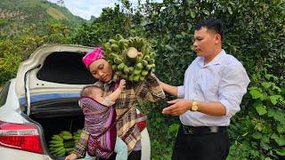 Kind engineer helps single mother harvest bananas. Giant bananas. Ly Vy Ca