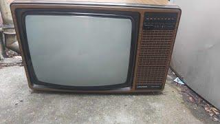 Show 'n Telly episode 5: 1978 Grundig GSC100