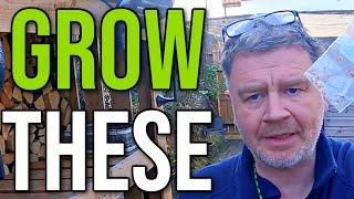 I'm Growing These Tomatoes | What Tomatoes To Grow in 2021| Best Tomatoes To Grow