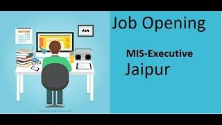 MIS Executive in Miracle Coro Plast Pvt. Ltd. Jaipur Job Opening