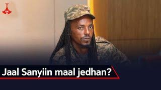 Jaal Sanyiin maal jedhan?  etv |Ebc  |Etv Afaan Oromoo| oduu Etv Afaan Oromoo |Ethiopia